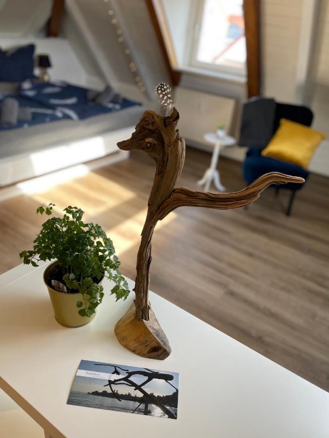 Ferienwohnung Schneider ฟรีดริชส์ฮาเฟน ภายนอก รูปภาพ